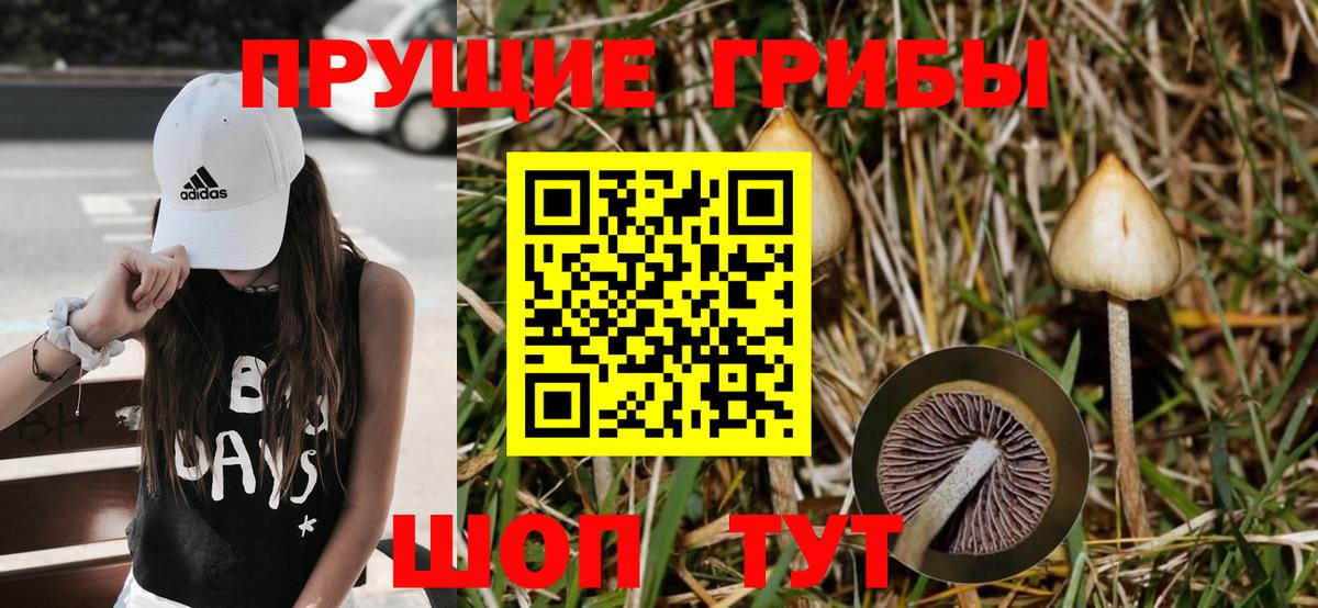Волжский  Псилоцибиновые грибы MAGIC MUSHROOMS  Вход с VPN 